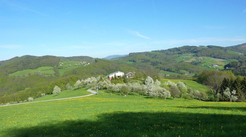 Goelsenhof - Fam. Buechinger Villa Wald  Bagian luar foto